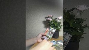 Время перемен! Когда?В каких сферах жизни?!