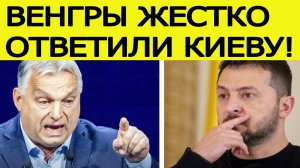 «Это ваша война!»  Венгрия сделал жесткое послание Украине