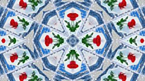 Розы в Зимнюю пору 5 от Киностудии Мудрого Кота Тимофея!