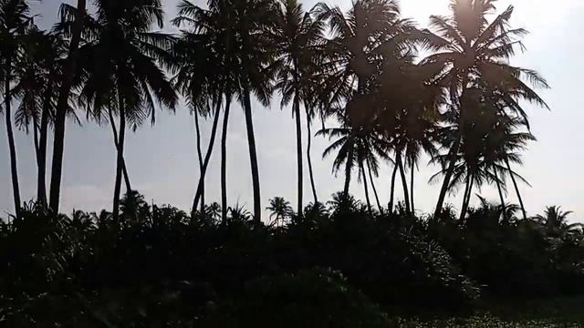 Общее фото на пляже индий. океана г.Хиккадува, Шри-Ланка после Сонастройки и Баланса 4 Ст. МНШУ