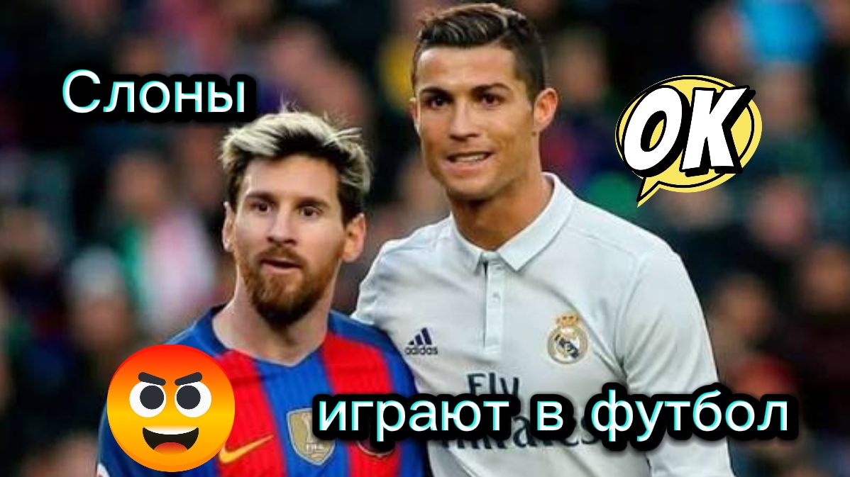 Месси и Роналду отдыхают в сторонке. Слоны играют в футбол.