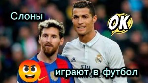 Месси и Роналду отдыхают в сторонке. Слоны играют в футбол.