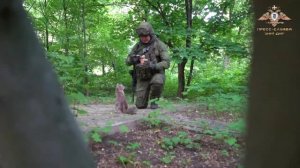 Котики_на_войне_Девятая_жизнь_песня_про_окопного_кота_на_на_стихи_Михаила_Афонина.mp4