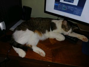 сплю 😴😴😴