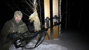 Загонял лисицу на лыжах в поле ночью!!! Как выбрать тепловизионный прицел и монокуляр?!