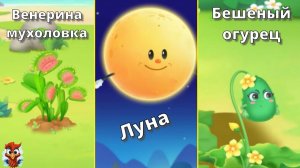 Игра "BabyBus. Мухоловка, огурцы, луна". Детская познавательная игра. (бейбибас, панда Кики).