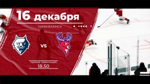 Матч КХЛ "Нефтехимик" - "Торпедо": следите за игрой на телеканале "Нижний Новгород 24" и на "Маяке"