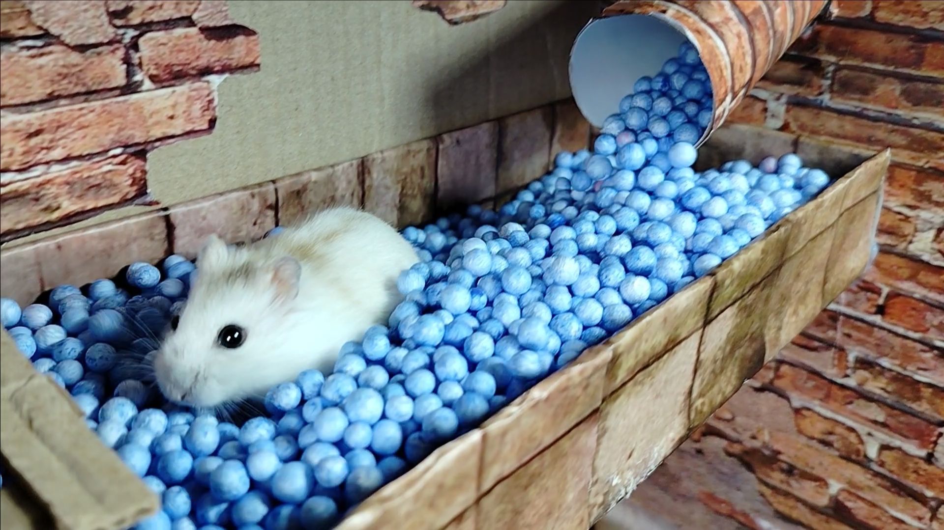 ПОБЕГ ХОМЯЧКОВ/ КВЕСТ/ как Выбраться из ТЕМНИЦЫ 1 Часть/ Вики Лаки смотреть онлайн