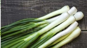 ВТОРИЧНЫЙ СБОР ЗЕЛЕНИ.