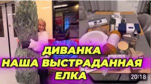 САМВЕЛ АДАМЯН, МИСС ВОНГ, НАША ВЫСТРАДАННАЯ ЕЛКА И ЕЩЕ КУЧА ПОКУПОК В ДОМ..