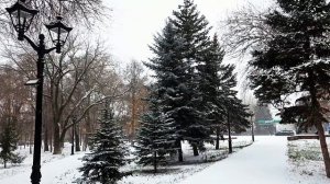 В снегу и скверы и проспекты... Зима, зима, зима  Видео Виктор Поживин