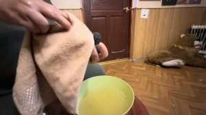 Влад первый раз в ШОКЕ от количества наших новых питомцев!