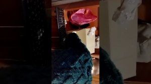 раскопки часть первая