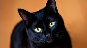 Я НАШЛА ДЕРЕВНЮ НОМЕР 31 В МАЙНКРАФТ И ПОСТРОИЛА ТАМ ДОМ