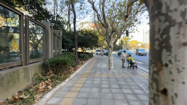 ДЕКАБРЬСКАЯ ПРОГУЛКА В КИТАЕ КРАСИВО И ИНТЕРЕСНО АЗИЯ И КИТАЙ