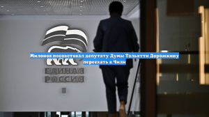 Милонов посоветовал депутату Думы Тольятти Дорожкину переехать в Чили