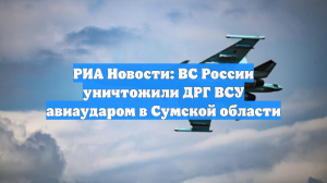 РИА Новости: самолёты ВКС России уничтожили ДРГ ВСУ в Сумской области
