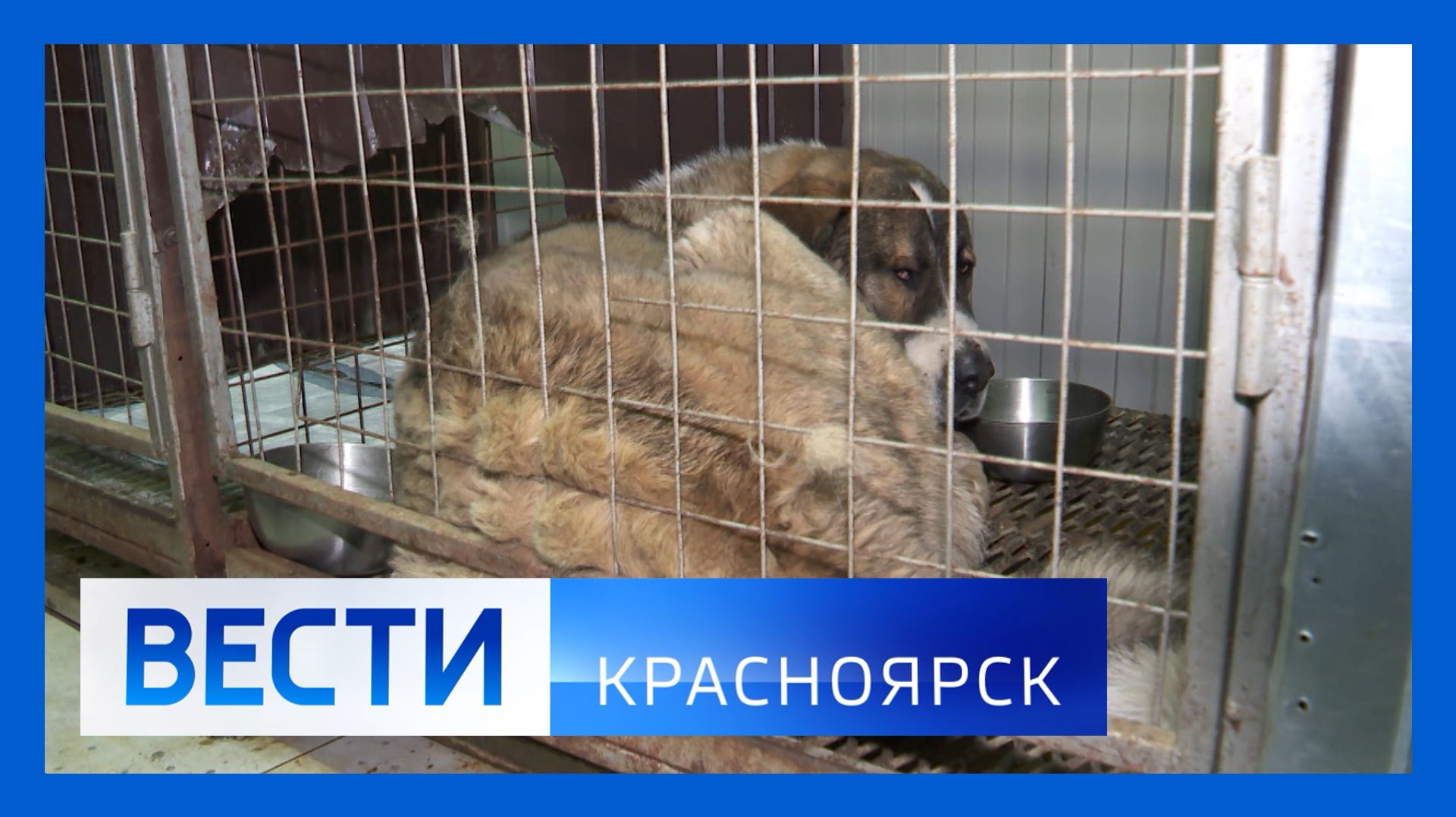 Вести. Красноярск от 05.12.2025 смотреть онлайн