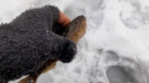 Охота Пришла Успешно 4 ч.