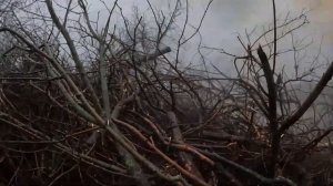 СВО на Украине — сводка боевых действий на 15.12.2025 | Карта СВО | Новости фронта