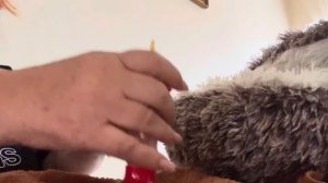 Что-то еще один носушонок холодненький, так хочется чтобы ВСЕ ВЫЖИЛИ…