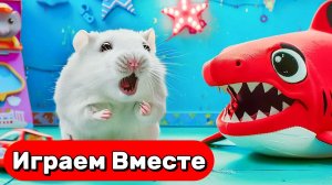 Хомяк попал в ЛАБИРИНТ С ПРЕПЯТСТВИЯМИ 🐹 Выбираемся из лабиринта вместе 🦈