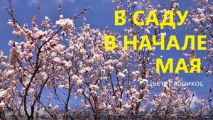 В саду 4 и 14 мая 2022 года