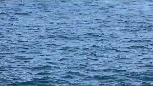 Репортаж Марины Колесник о путешествии по индийс.океану на катере к дельфинам и китам,Шри-Ланка.МНШУ