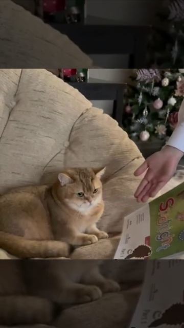 Ты сказал что ты шаришь в этой теме