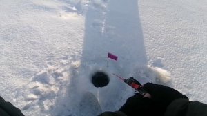 15.12.2025/Белоярка/Зелёный Забор/