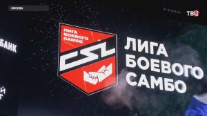 В Москве прошел финал "Гран-При лиги боевого самбо"