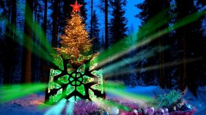 Ёлка после праздников сменила вид, но не профессию.