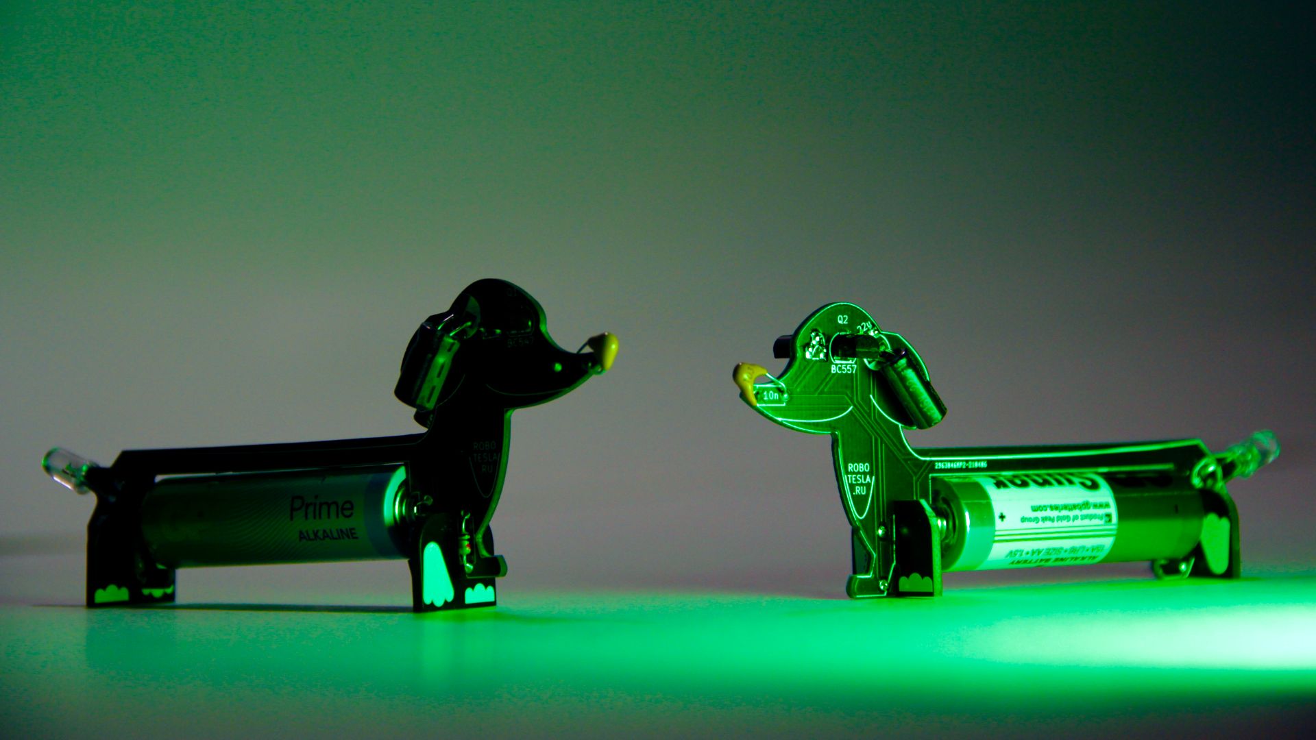 Масте-класс "Такса"