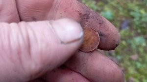 копаю в лесу, интересные находки+36