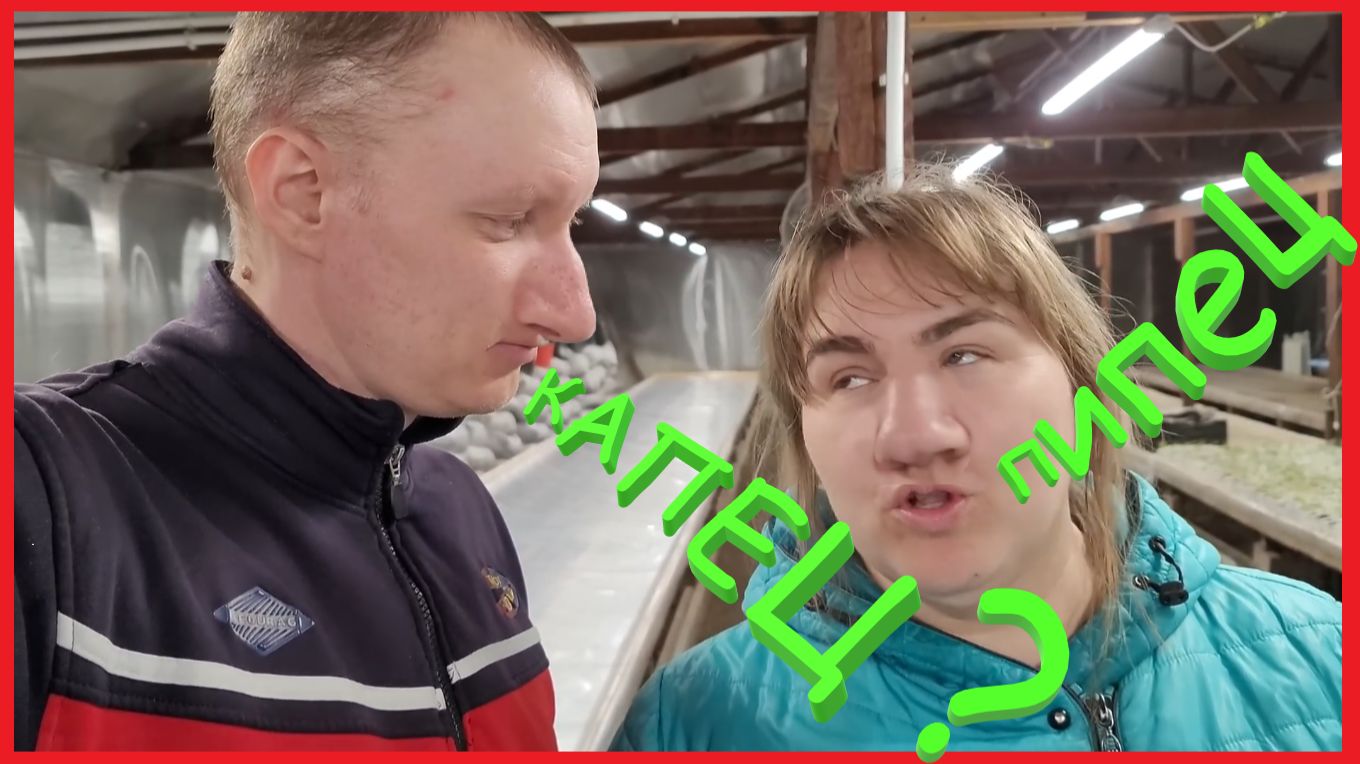 КАПЕЦ КАКОЙ БОГАТЫЙ СЛОВАРНЫЙ ПИПЕЦ | ДОМ НА ЗАИМКЕ | ДОМИК В ДЕРЕВНЕ | ХУТОР