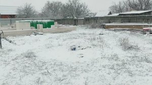 Снежное утро