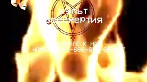 ßpøñğə:2102lirpactc