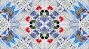 Розы в Зимнюю пору 4 от Киностудии Мудрого Кота Тимофея!