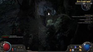 Уникальный Друид! Квадробер) Ликан, Миша, ВИВЕРНА! Path of Exile 2 +кооп игры. Озвучка на play live