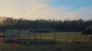 Город - царство, а деревня - рай. Как создать природный п