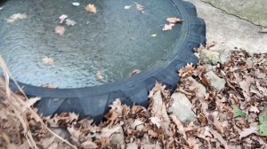 Приехали на дачу. ПроДачу.