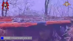 🇷🇺💥🇺🇦⚡«Спарта» наносит смертельные удары окружённым оккупационным силам в Димитрове