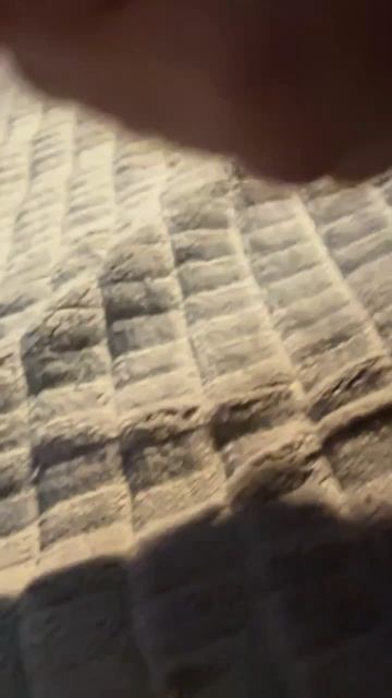 Мира хомячок!!!