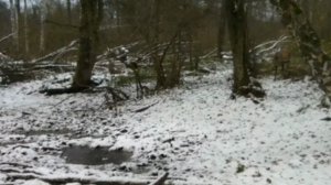 Видео фото ловушки