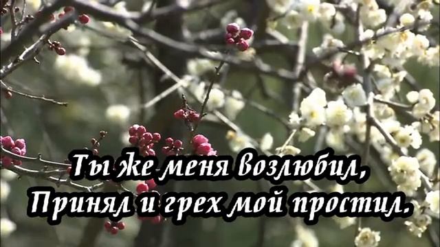 Ксения Лапицкая - Верный Спаситель, мой Бог(-) смотреть онлайн