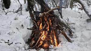 развели огонь в лесу