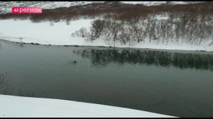 10 МЕДВЕДЕЙ ЕЩЁ НЕ ЛЕГЛИ В СПЯЧКУ НА ЗАПОВЕДНЫХ ТЕРРИТОРИЯХ КАМЧАТКИ • НОВОСТИ КАМЧАТКИ
