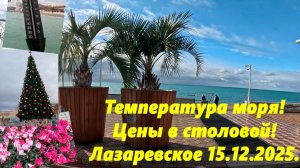 Температура моря! Цены в столовой и ул.Ушакова. Лазаревское 15.12.2025.