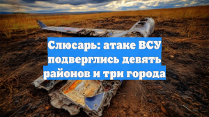 Слюсарь рассказал о массированной атаке дронов на Ростов и область
