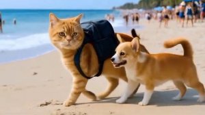 Мультик для детей. Кошка-мама  с котятами , а также тигр и собачка. 🐈🐅